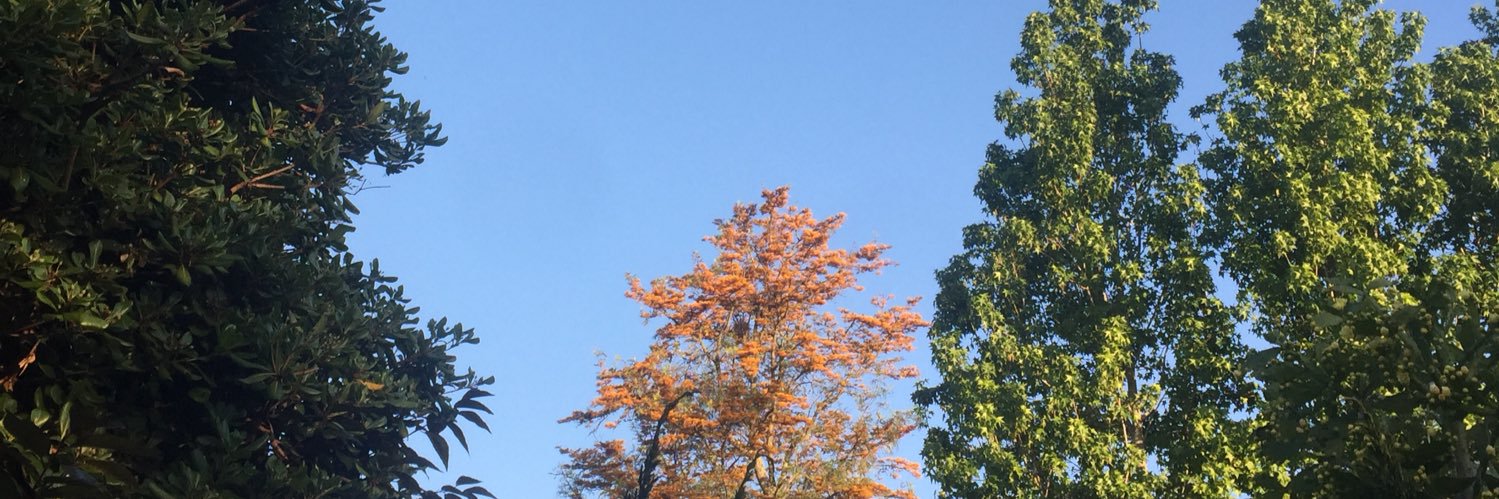 vickyholzmann1's profile banner image