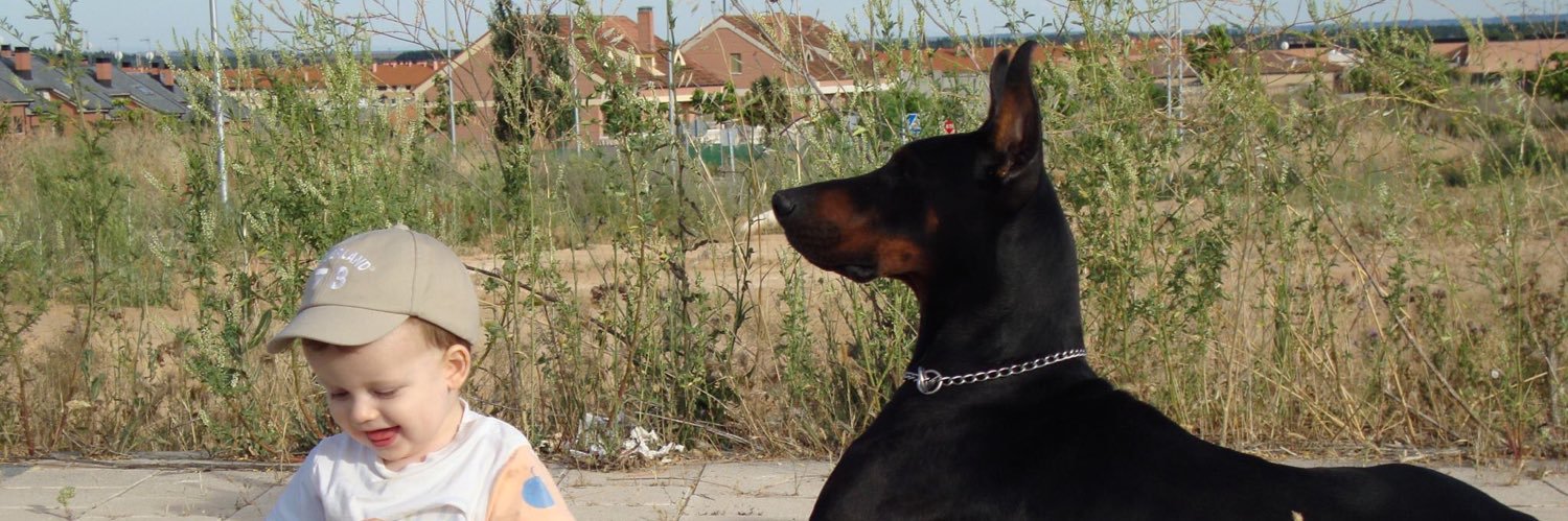MHNacho's profile banner image