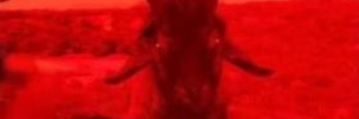 JpAlvinho's profile banner image