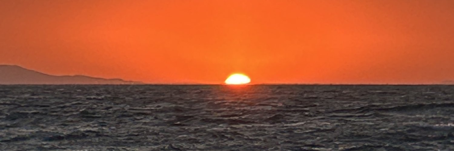 Richard Proctor banner