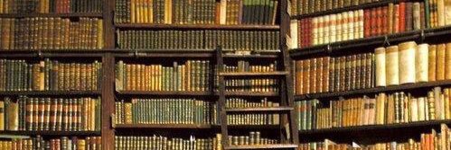 Georg Blaschke banner