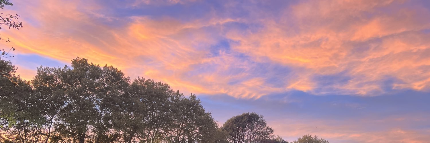 Katie Horvath banner
