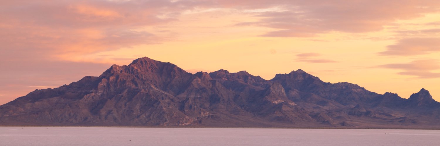 Kale Steneman banner