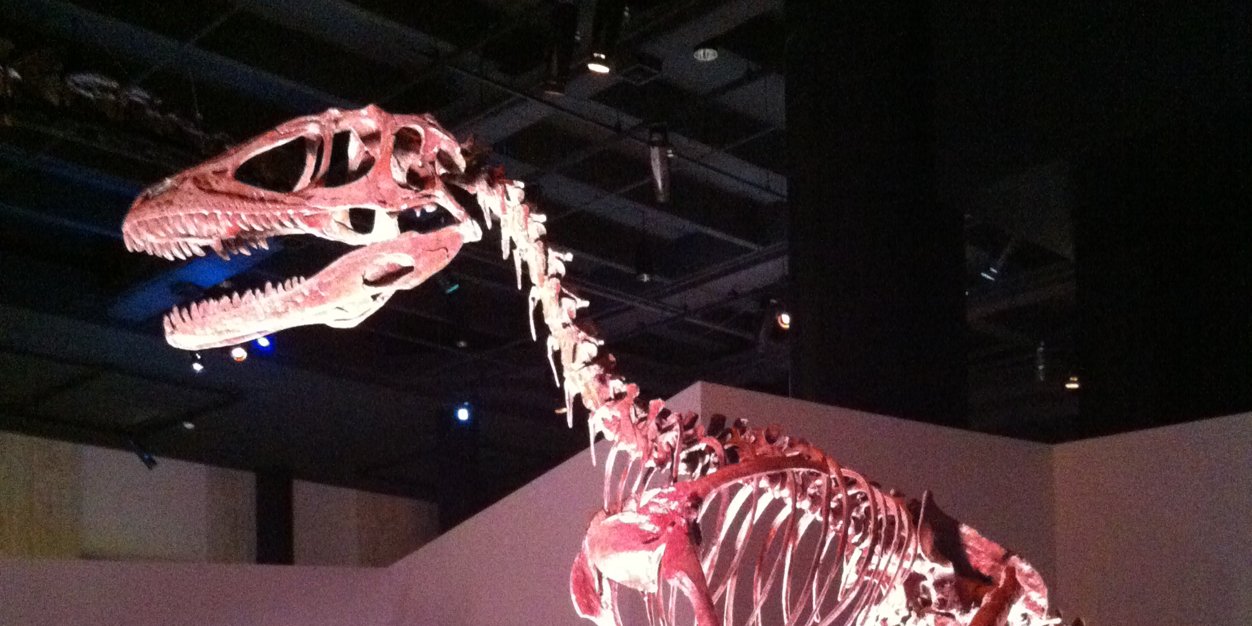 aka LW Salinas banner