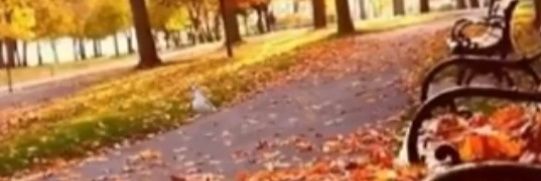 oznurbir's profile banner image