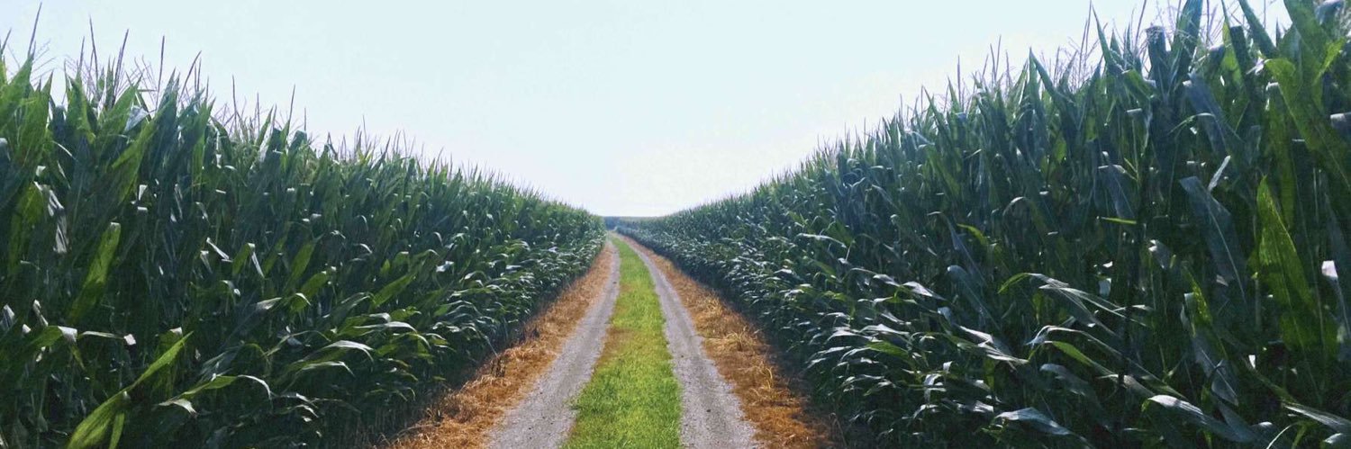 pjschaben's profile banner image