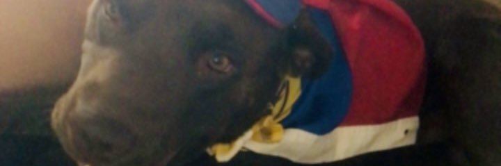 Naxi banner