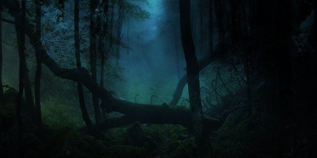VBourgon's profile banner image