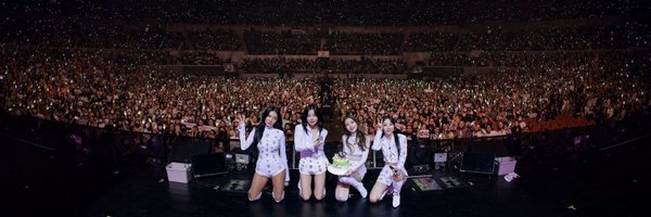 chieeeseu Profile Banner