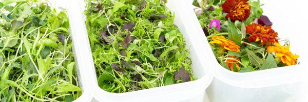 FarmDotOne Profile Banner