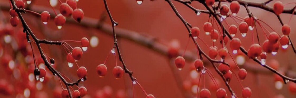 nuysyah's profile banner image