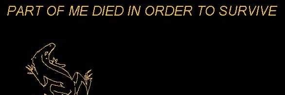 girlbehindthis's profile banner image