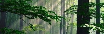 weilinlu2's profile banner image