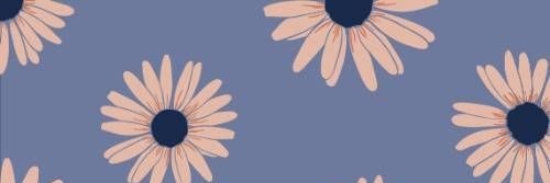 HaselHA's profile banner image