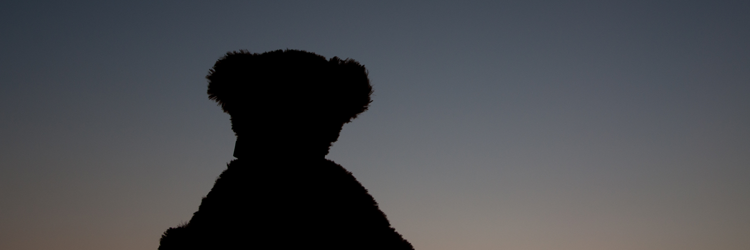 DataMick's profile banner image