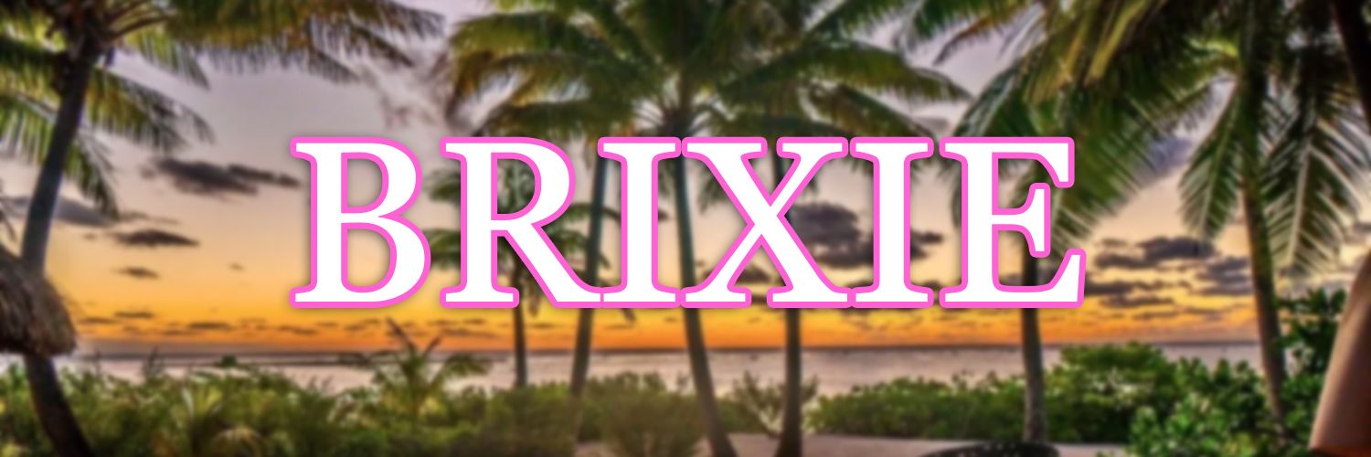 brixiedollx's profile banner image