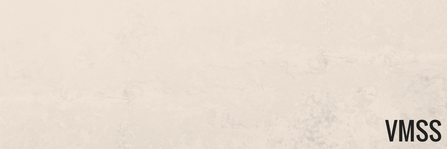 vmss16's profile banner image