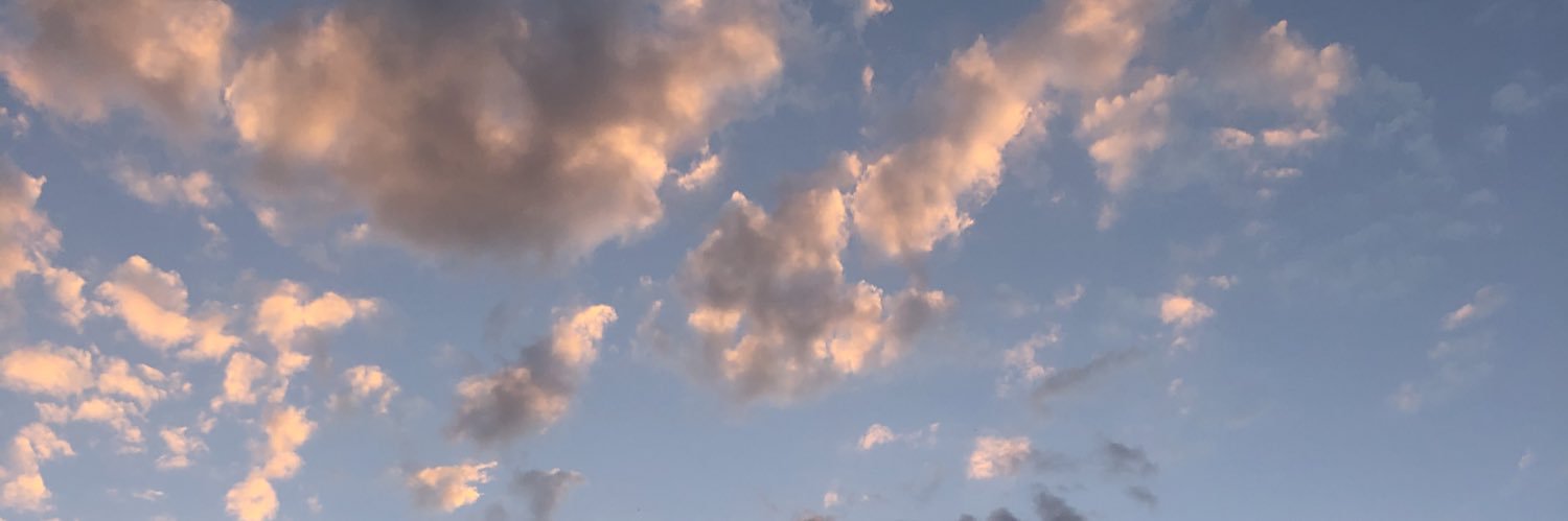 LayseLeticia's profile banner image
