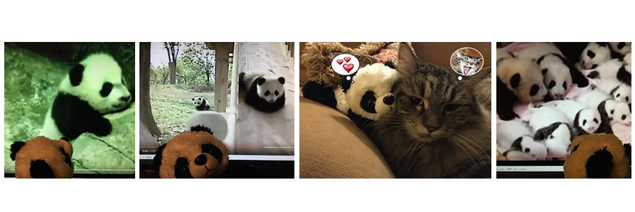 BooBooPanda banner