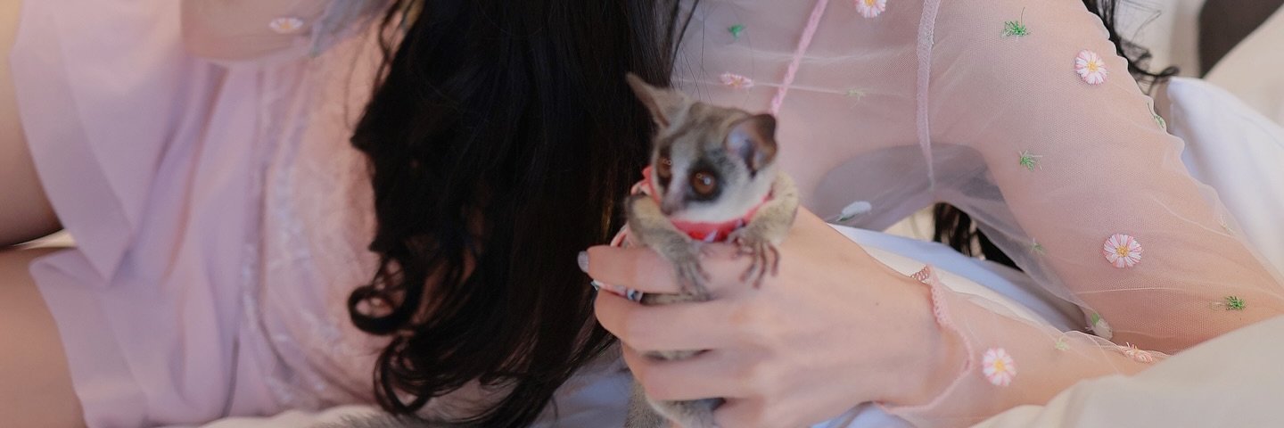 BornierCamille's profile banner image
