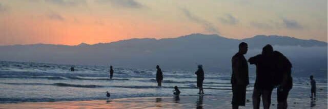 محمد ال شهوان banner