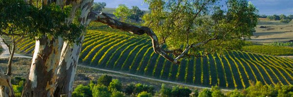 Mountadam_VY Profile Banner