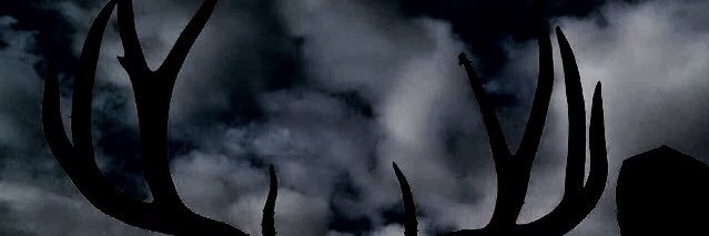 caden_constable's profile banner image