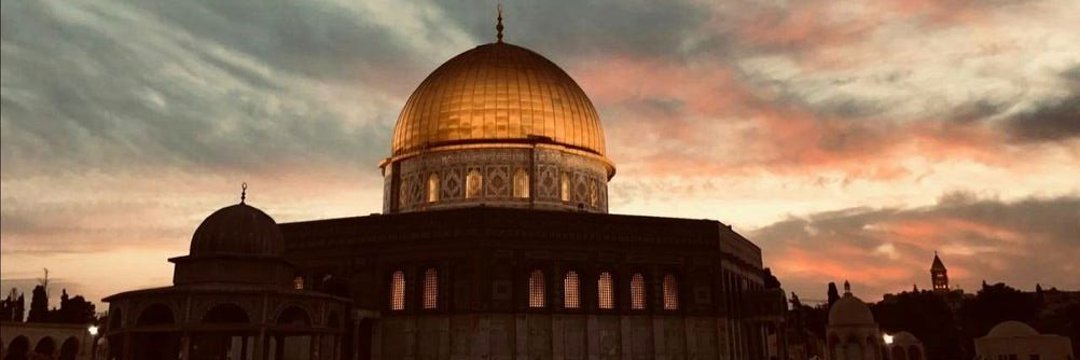 Palestine365's profile banner image