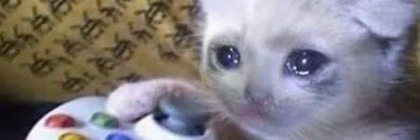 MrPython1996 Profile Banner