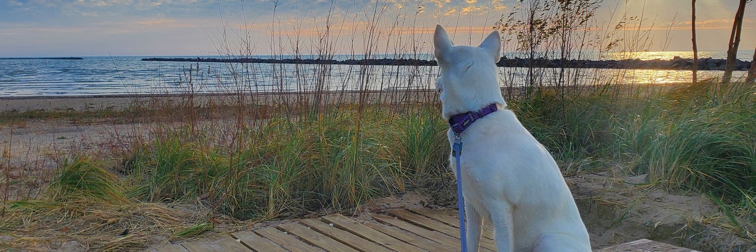 CBS_mom's profile banner image