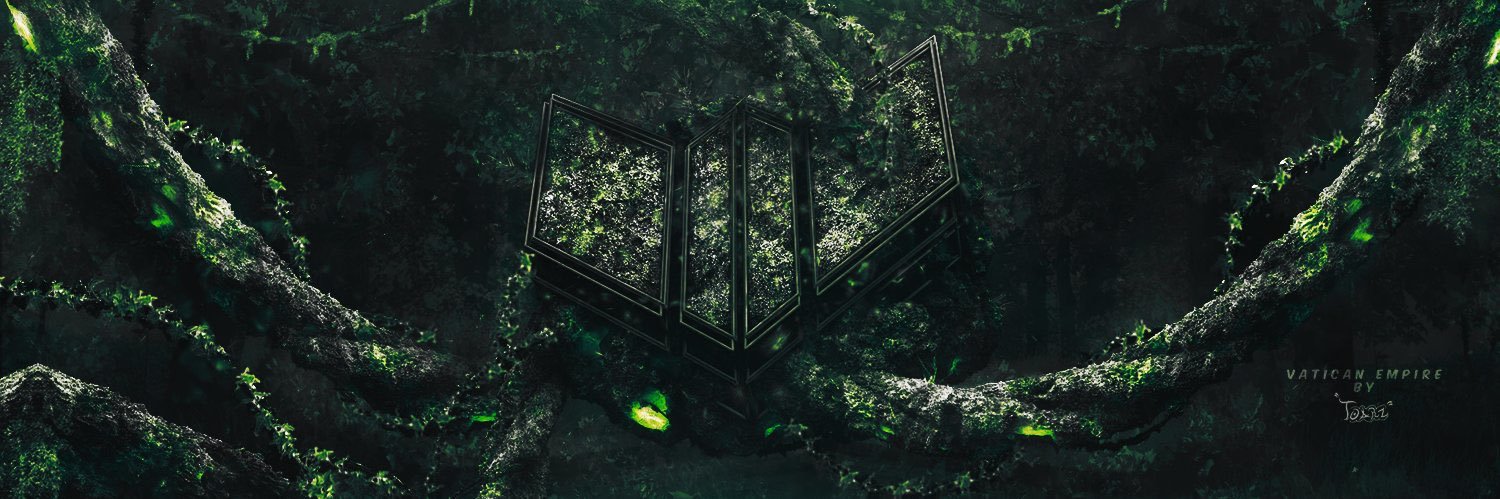 EnterTheVatican's profile banner image