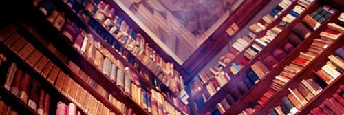 BridieSheppard's profile banner image