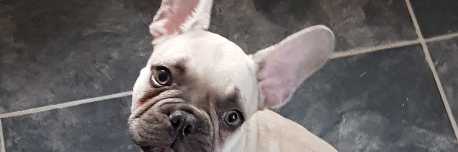 oneilll_35's profile banner image