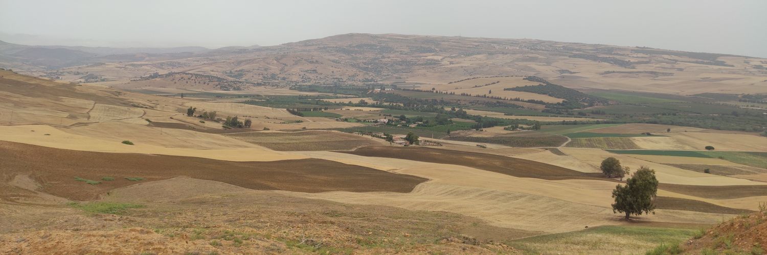 Najm banner