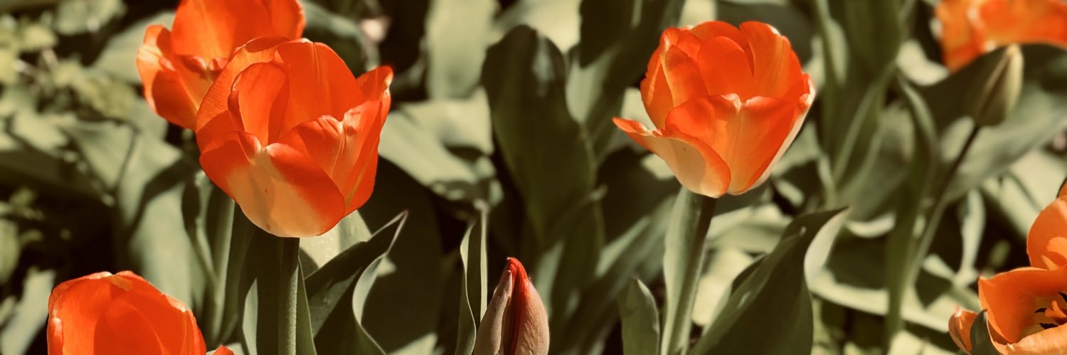 Naterpiller's profile banner image
