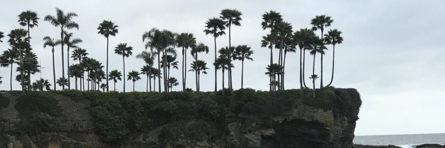 BeachBoyRose's profile banner image