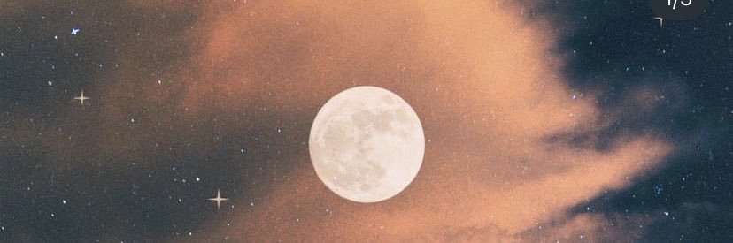 LeuLion's profile banner image