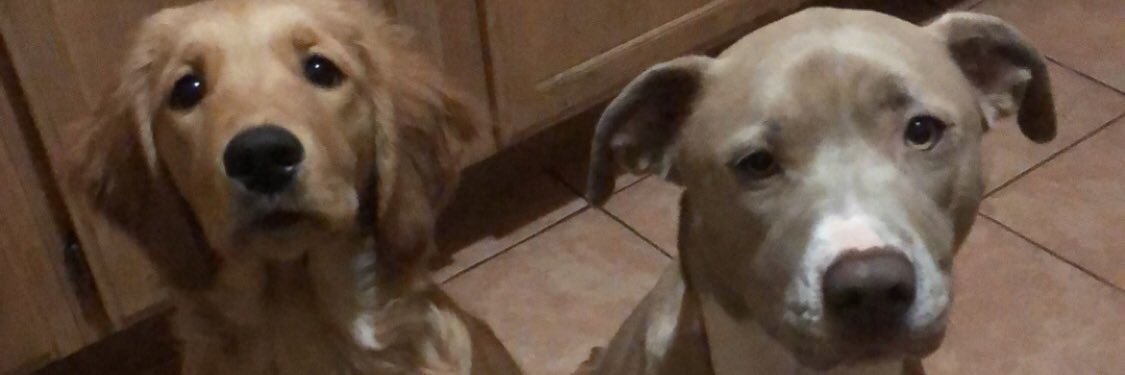 g_genessis's profile banner image