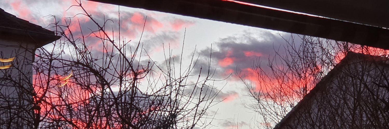 diepapst's profile banner image