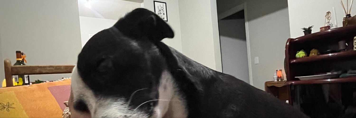 camaleaogreen's profile banner image