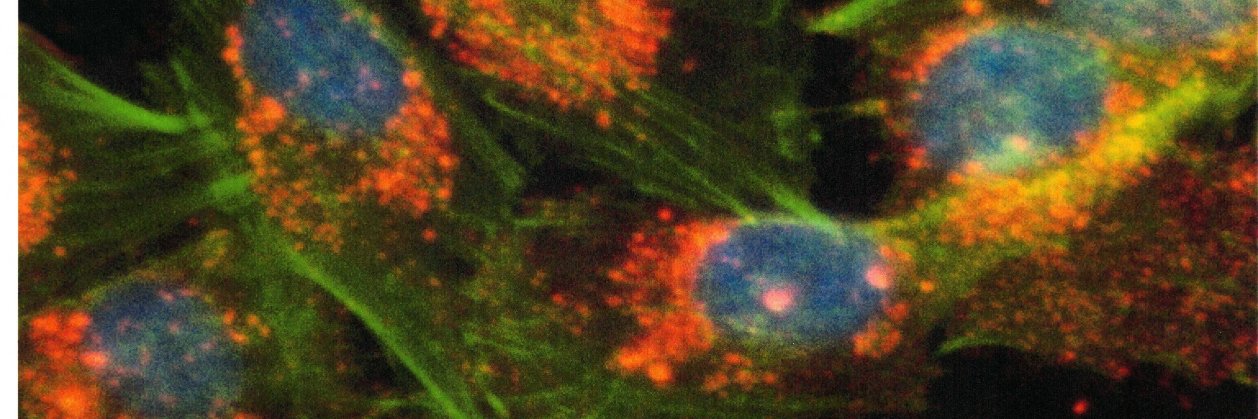 Bell Biosystems, Inc. banner