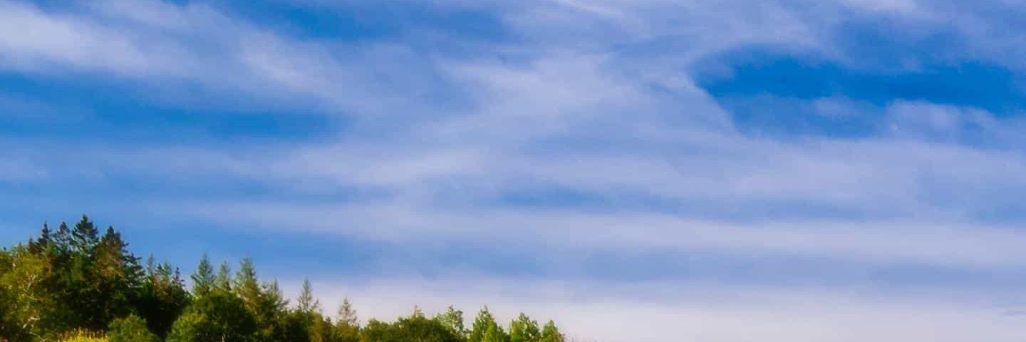 mxopz's profile banner image