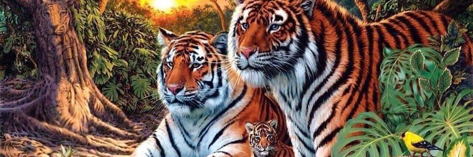 bencasky's profile banner image