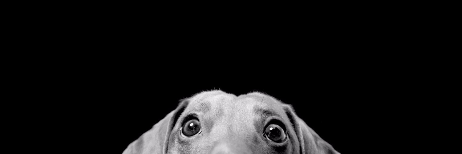 Brett Pribble banner