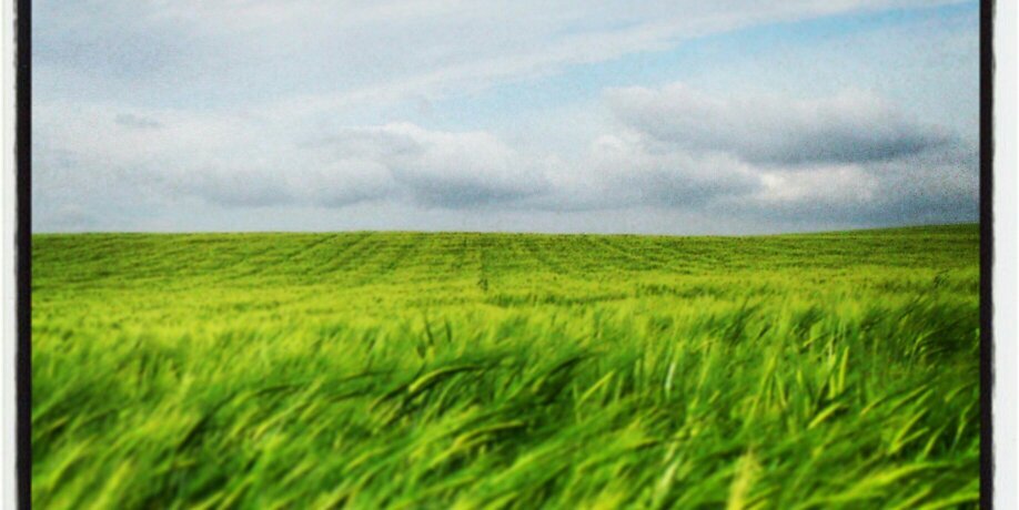 jaimefrancesp's profile banner image