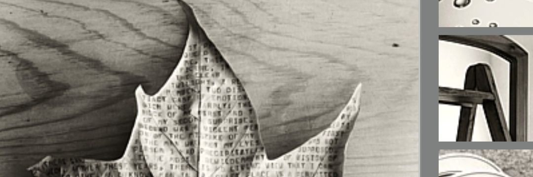 maite_rabou's profile banner image