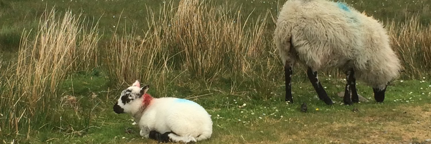 Mumbo Jumbo Power banner