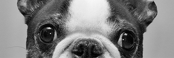 pointandwink's profile banner image