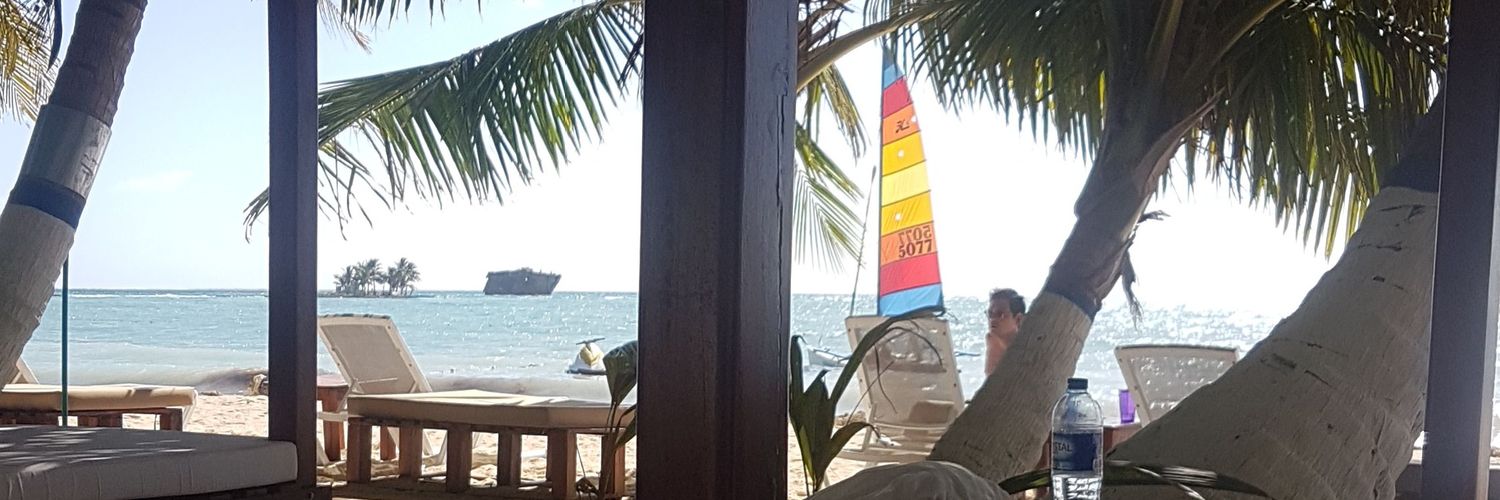margothceleste's profile banner image