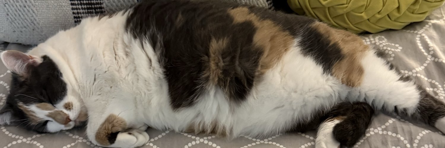 kaylesandy's profile banner image